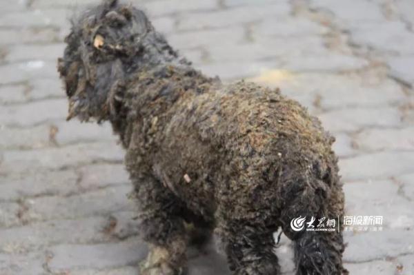 突發(fā)！青島一居民樓發(fā)生爆燃！已造1人死亡，7人受傷！3公里外有震感…
