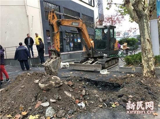 圖片說明:挖掘機(jī)現(xiàn)場作業(yè) 圖片均為新民晚報(bào)新民網(wǎng)陳浩攝