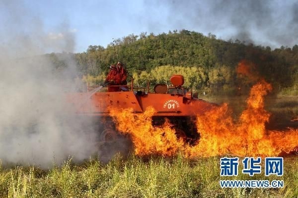 【動畫】森林草原防火“十不準”“五不燒”！這些安全知識要牢記
