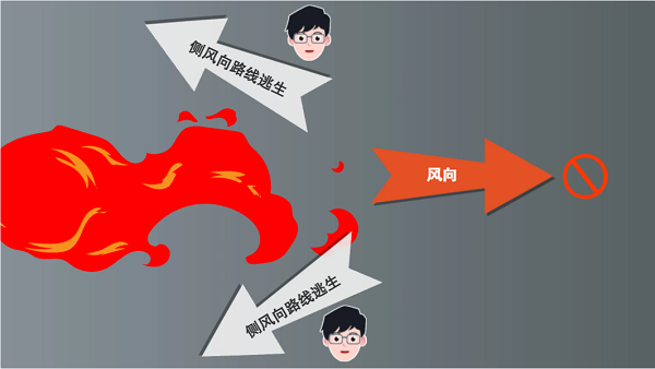 【動畫】森林草原防火“十不準”“五不燒”！這些安全知識要牢記